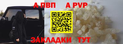 герыч Кингисепп