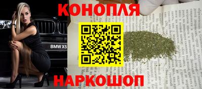 крисы Кинель