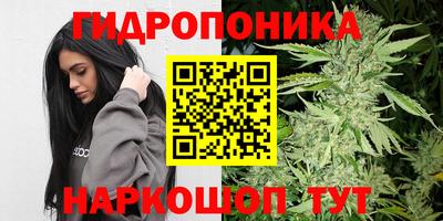 герыч Кингисепп
