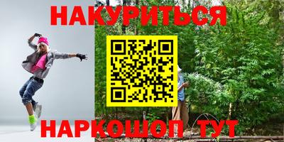 крисы Кинель