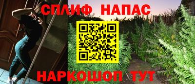 герыч Кингисепп